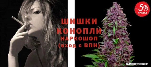 индика Зеленодольск
