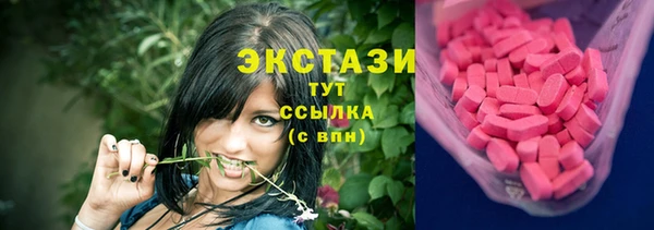 индика Зеленодольск