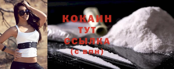 индика Зеленодольск