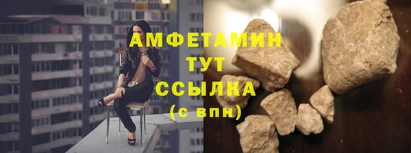 индика Пересвет