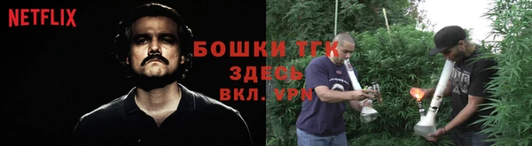 мдпв Инсар