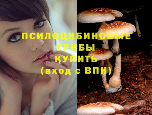 spice Покровск