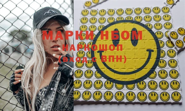 мдпв Инсар