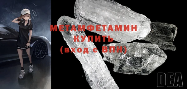 индика Зеленодольск
