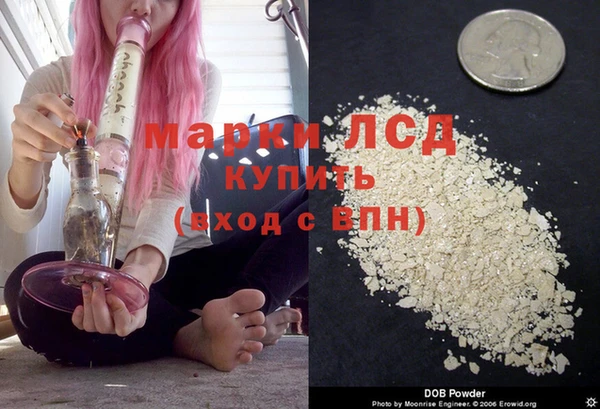 мдпв Инсар