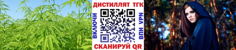 ТГК Wax закладка Снежногорск