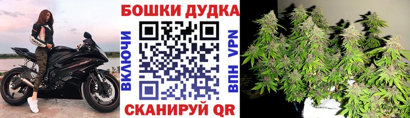 Бошки марихуана индика  Снежногорск 